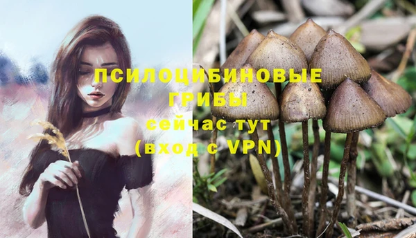 ешки Верхнеуральск